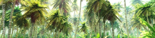 Jungle in the morning in the fog, palm trees in the haze, 3D rendering