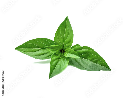 Fresh basil herb leaves isolated on a white background. Top view of basil tip.