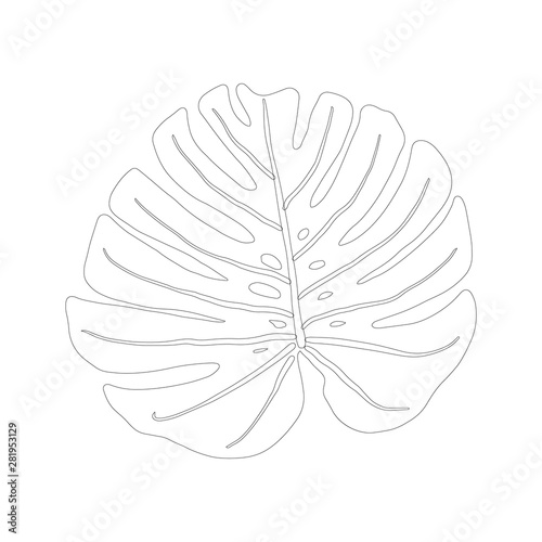 Monstera leaf in black outline icon on white background.