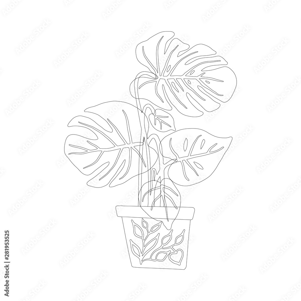 Philodendron plant pot in black outline on white background Philodendron plant pot in black outline on white background