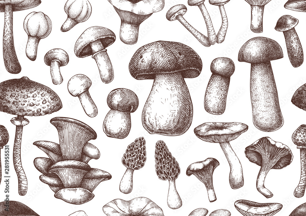 Naklejka Edible mushrooms vector Background. Forest plants seamless pattern. Perfect for recipe, menu, label, icon, packaging. Vintage mushrooms design. Healthy food elements.