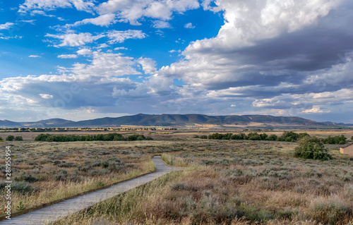 Paisaje en el Parque Nacional de las Tablas de Daimiel. Ciudad Real. Espa  a.