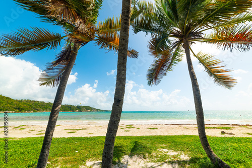 Pointe de la Saline beach in Guadeloupe