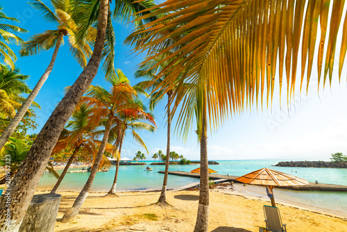 Palm trees and golden sand in Bas du Fort beach in Guadeloupe © Gabriele Maltinti