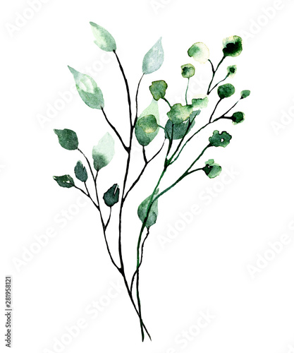 Watercolor branch with green leaves. Hand painting floral illustration. Leaf, plant isolated on white background. 