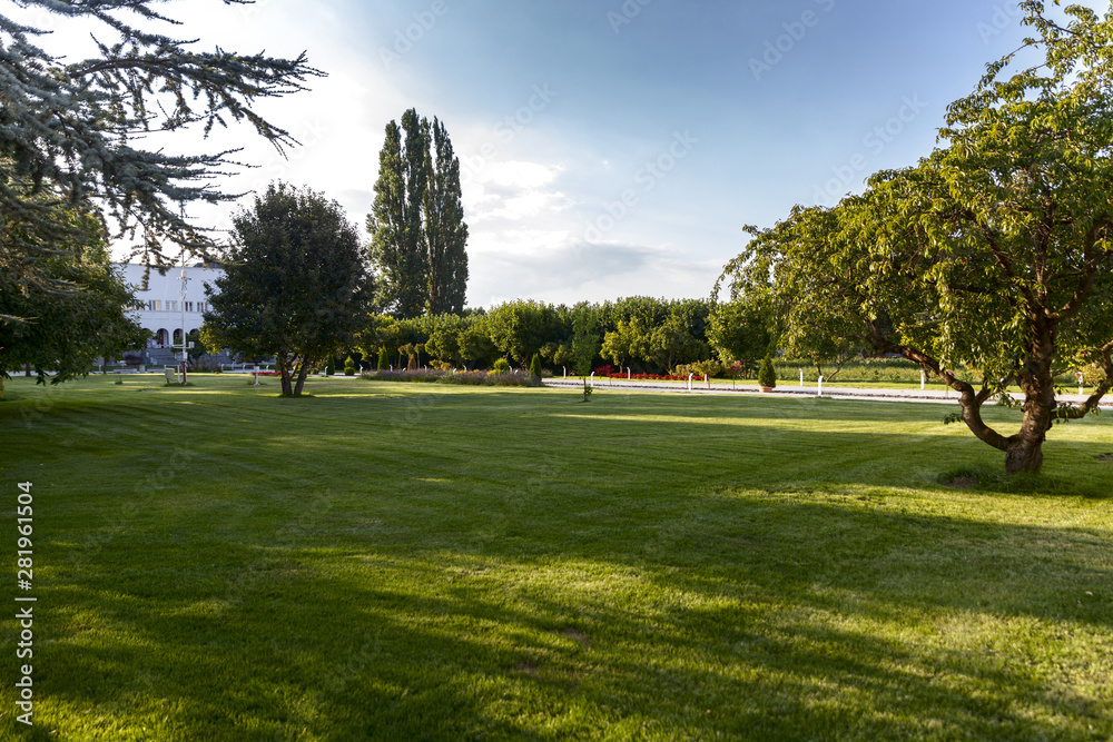 Fototapeta premium city park sunset