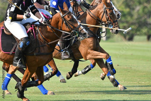 Side view picture of the Horse Polo Player are battle in match. © Hola53
