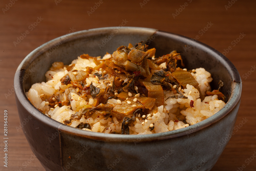 高菜ご飯 高菜ご飯