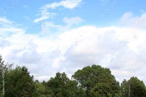 cumulus clouds over the trees