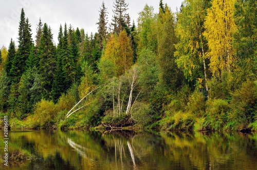 lake, water, forest, landscape, nature