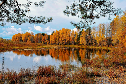 autumn, lake, nature, water, landscape