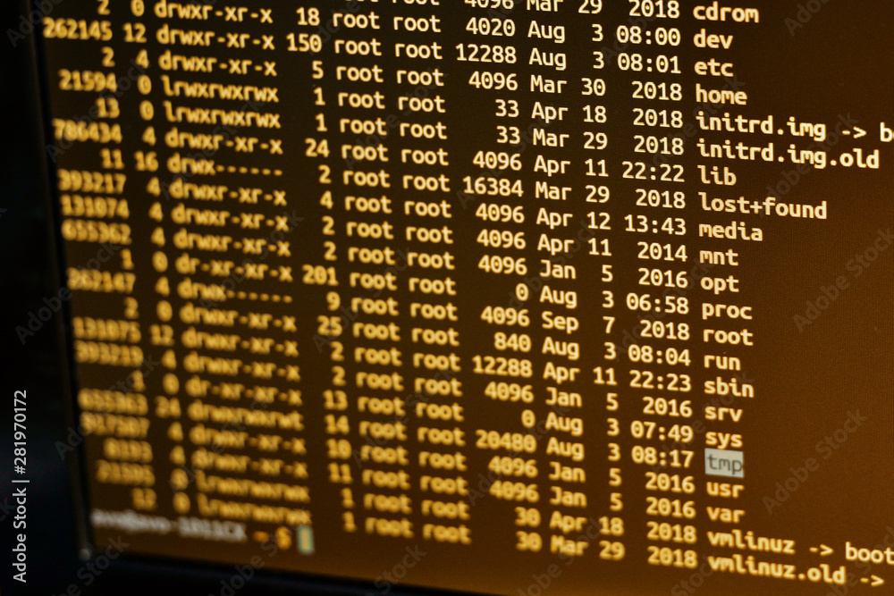 The list of files on the server. The list of files on the server.