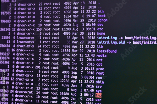Remote access to network servers. Program terminal view.