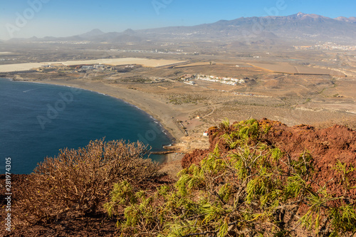 Arid territory of Lobos island, Canary, Spain. Euphorbia balsamifera plant. Tabaiba dulce. Tenerife photo