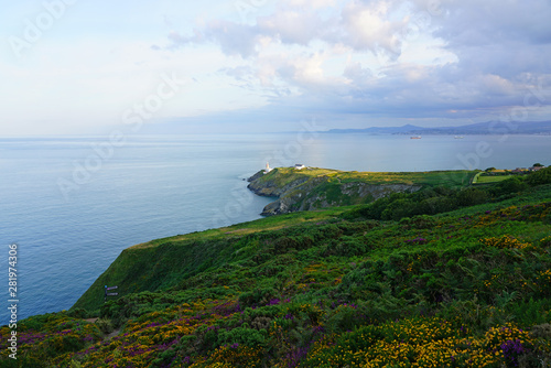 Canvas Print View of green heather fields, the Baily Lighthouse and the Irish Sea seen from t