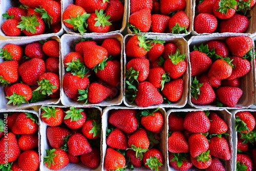 Green baskets of juicy sweet red strawberries at the farmers market