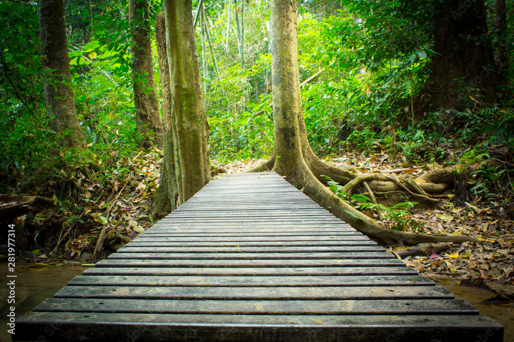 Obraz premium wooden bridge in the forest