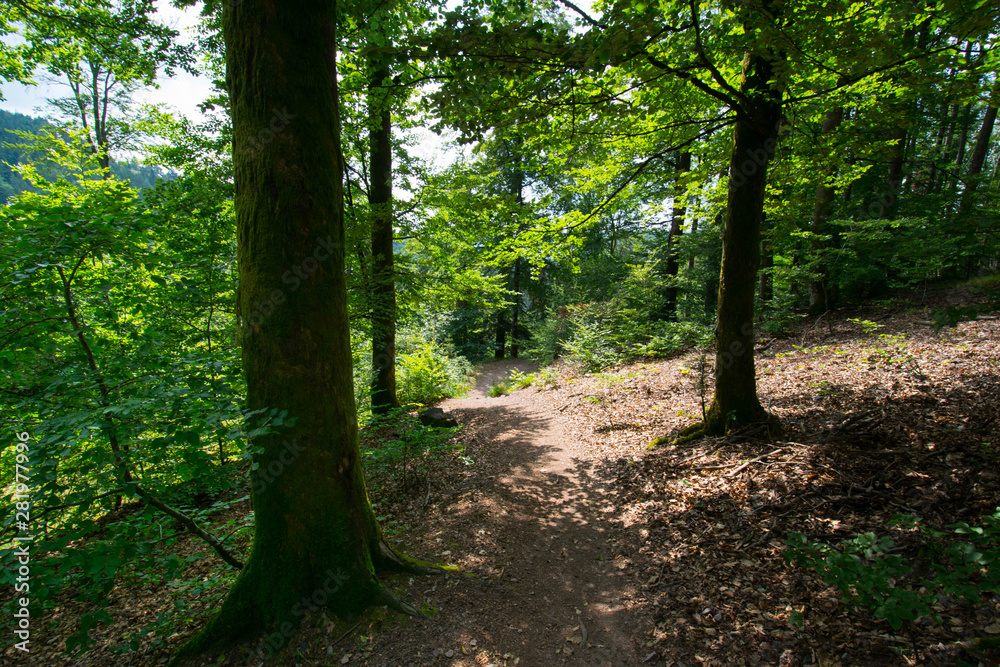 Vallée de Nideck in den nördlichen Vogesen Vallée de Nideck in den nördlichen Vogesen