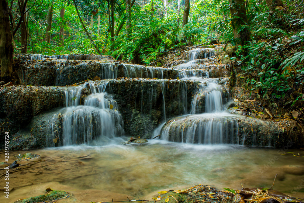 waterfall in the forest waterfall in the forest
