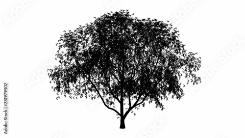Black tree silhouette illustration in white background