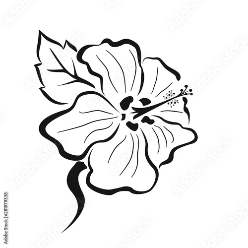 Vector illustration of a Hibiscus 