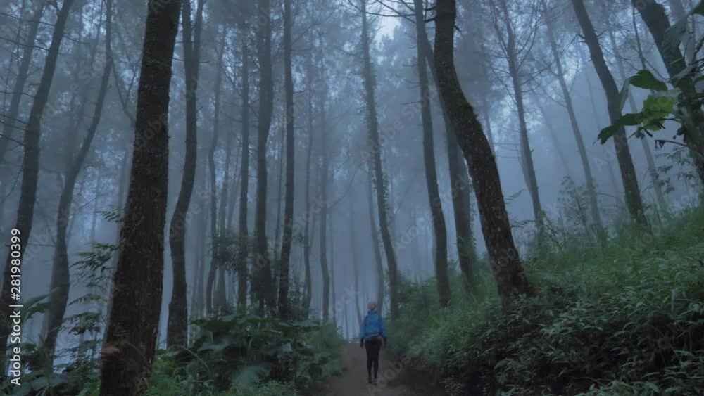 Woman walks through themisty foggy pine forest, Handled  shot No Color Grading shot