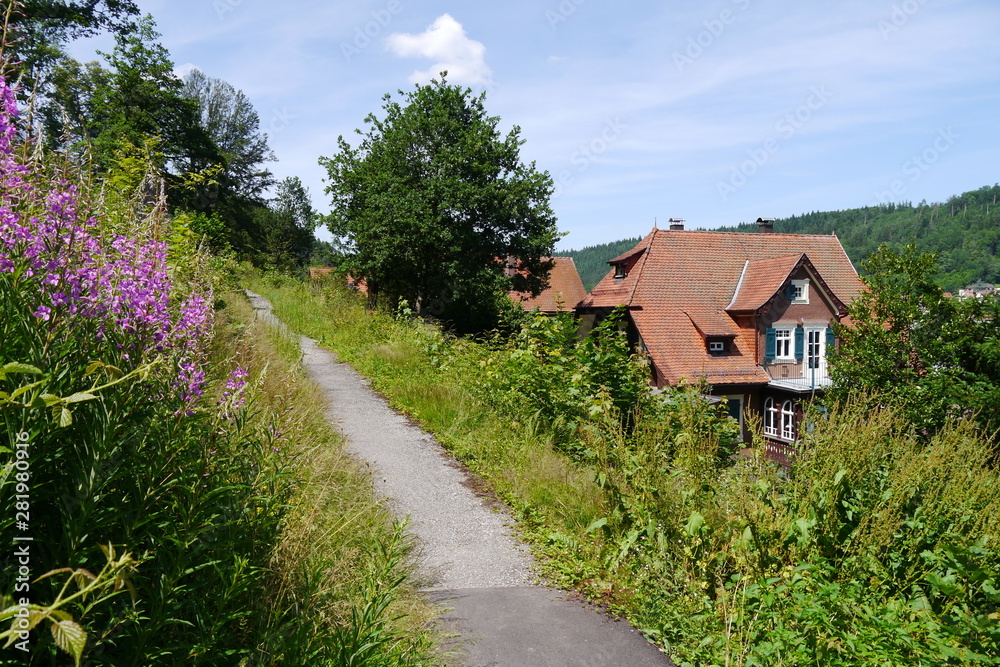 Wanderweg mit Blick auf Hausdach in Calw Wanderweg mit Blick auf Hausdach in Calw