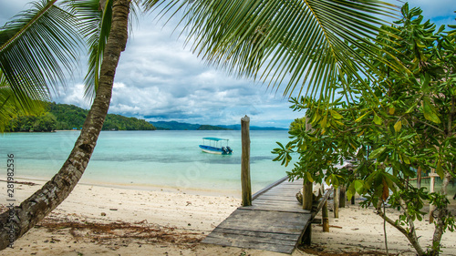 Beautiful Blue Lagoone with a Palmtree in Front, Gam Island, West Papuan, Raja Ampat, Indonesia © Igor Tichonow