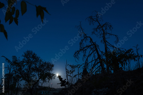 A witch on Halloween's night flying on broomstick over spooky tree in the evening. Dramatic sky with moon, clouds and stars.