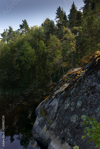 The quiet wild forest and lonely trees on the shore of the Saimaa lake in the Linnansaari National Park in Finland - 17