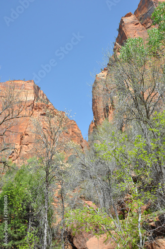 Zion canyon nationalpark in utah americas south west