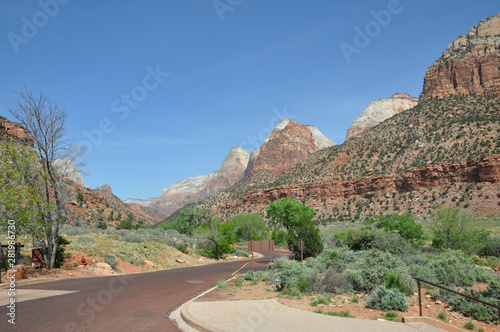 Zion canyon nationalpark in utah americas south west