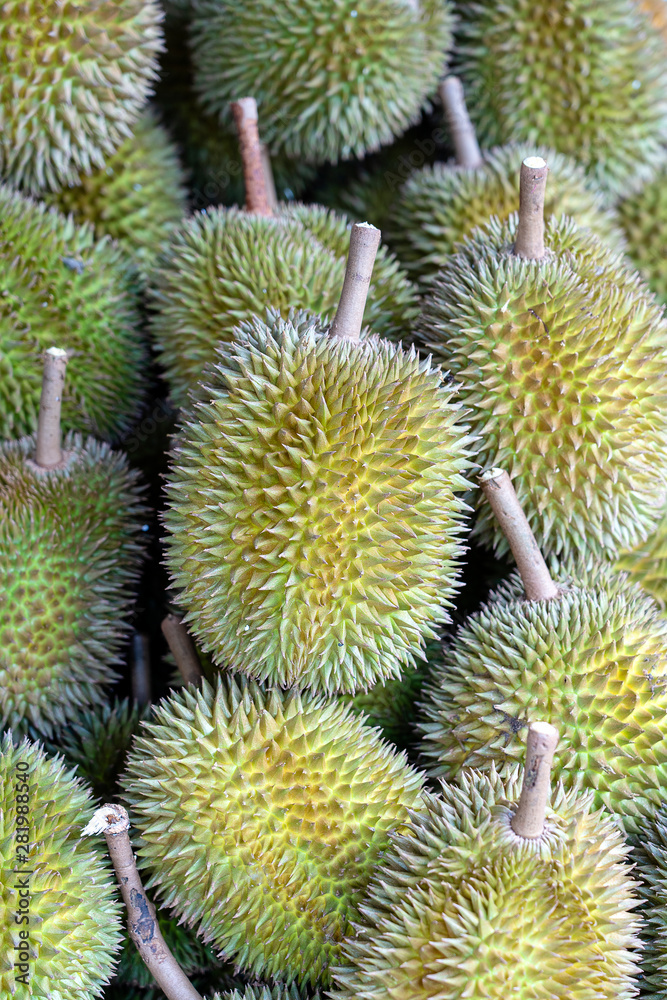 Durian fruit in the local market, Bali, Indonesia. Closeup Durian fruit in the local market, Bali, Indonesia. Closeup