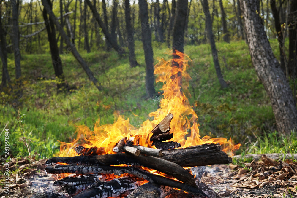 Bonfire in the foreground close-up. Bright flames frozen in motion