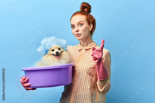 good looking girl with hair bun pointing up, holding a basin with her funny dog, close up portrait, isolated blue background stuido shot.woman teaching how to wash pets photo