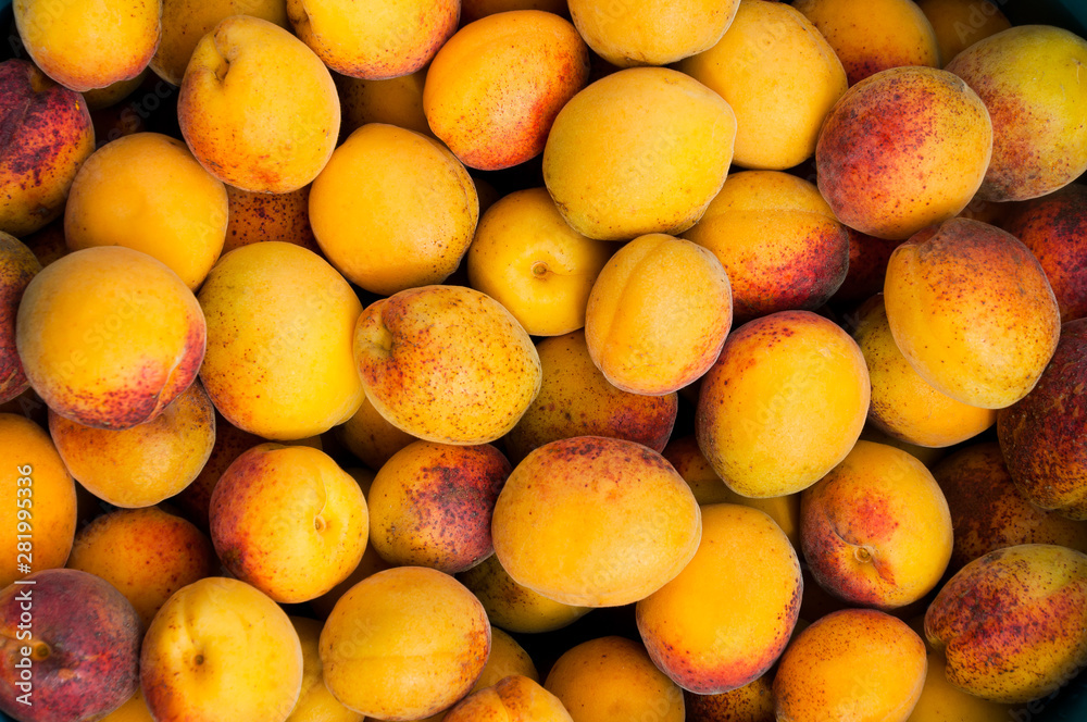 Background of fresh ripe organic apricots