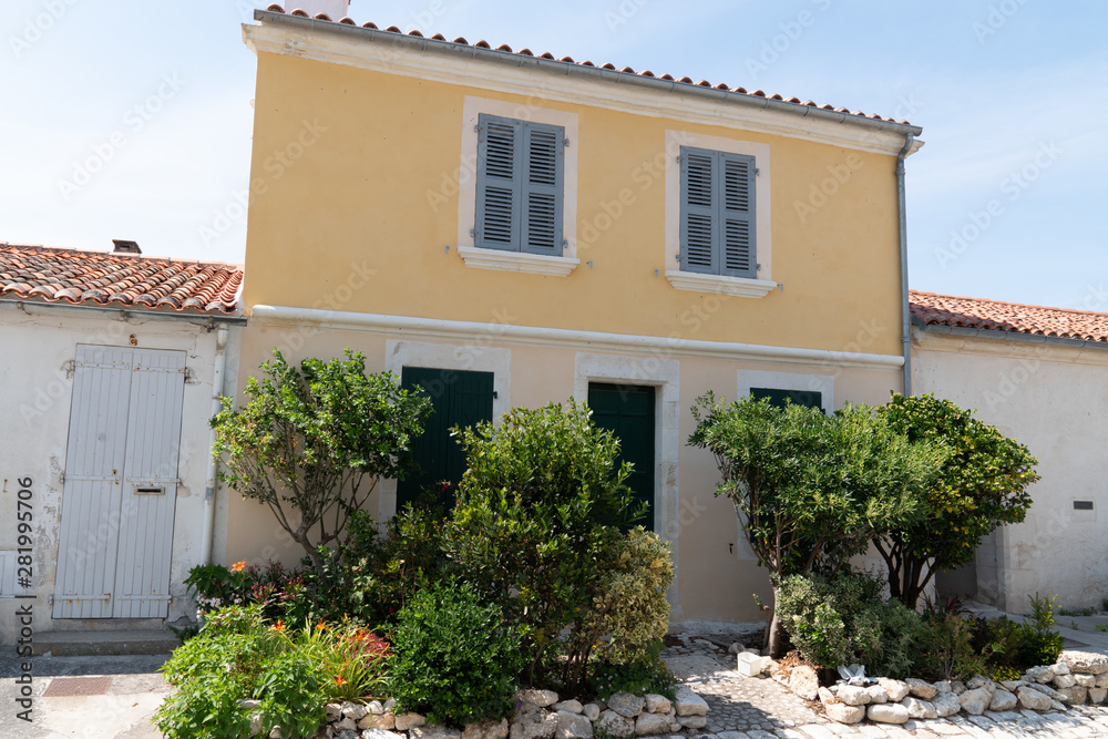 house on the island of Aix Charente maritime with little tree hollyhock in France