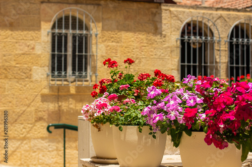 colorful flower bed composition center in photography of European old city street sunny outdoor environment without people 