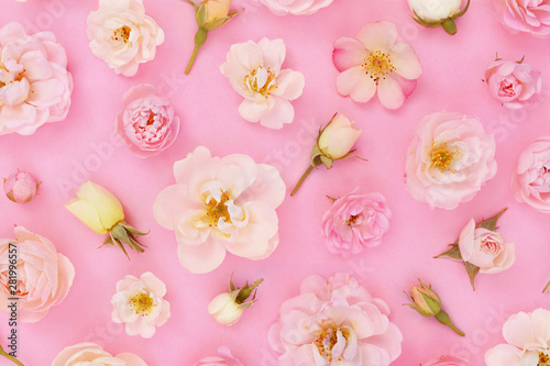 Summer blossoming delicate ...