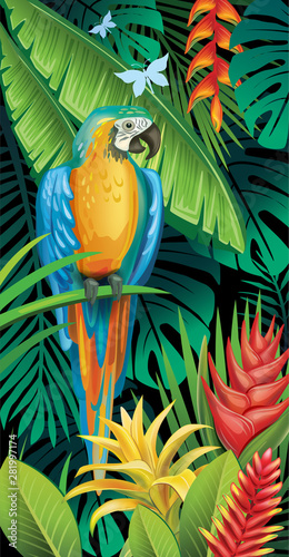 Background with tropical jungle plants and parrot