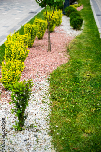 gravel and stones in the decoration of flower beds in landscape design