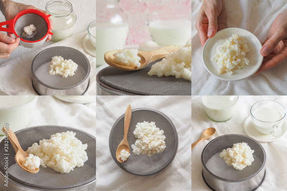 Collage with a Tibetan milk mushroom. Homemade milk kefir grains on a filter strainer Collage with a Tibetan milk mushroom. Homemade milk kefir grains on a filter strainer