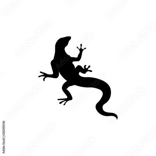 Lizard vector  design  animal  and reptile  gecko