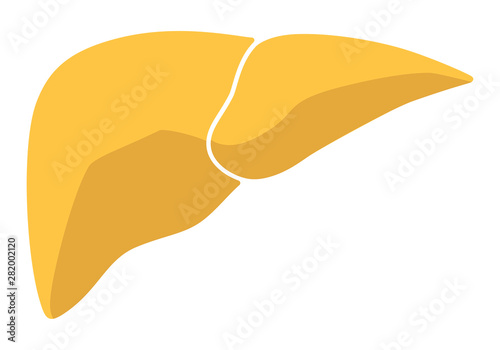 Human internal organs: liver. Vector image. Flat design