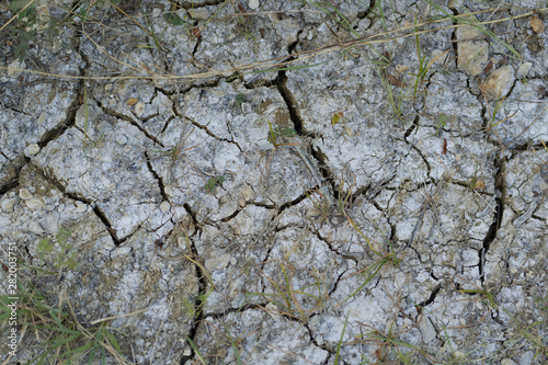 Dry cracked earth in a Texas city park on a July evening.