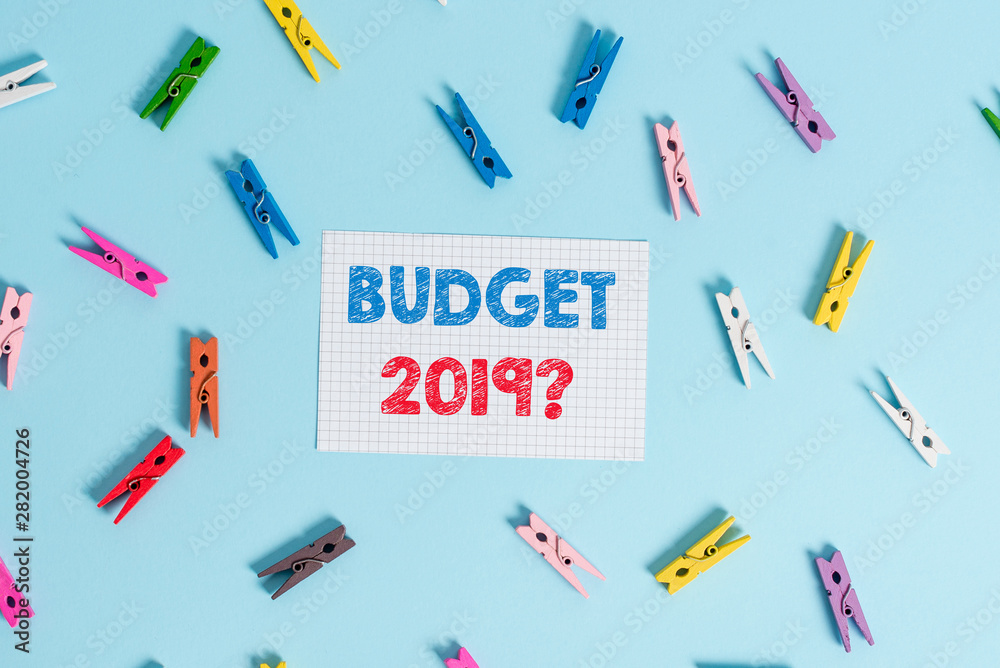 Handwriting text writing Budget 2019 Question. Conceptual photo estimate of income and expenditure for next year Colored clothespin rectangle shaped reminder paper light blue background