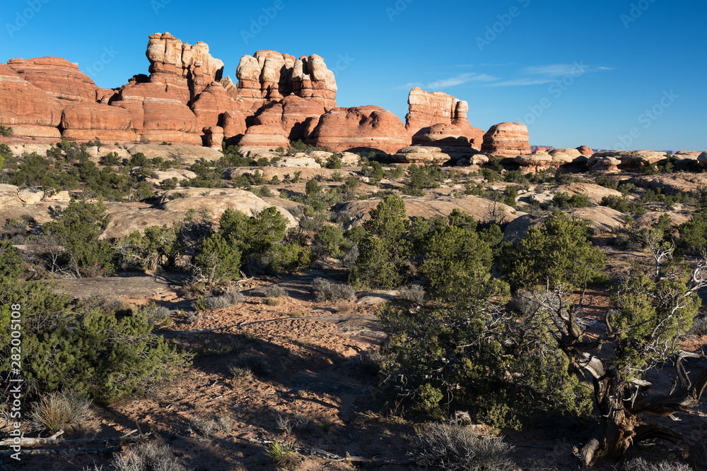 Unusual rock formations are in abundance in the Needles District of Canyonlands National Park, Utah.