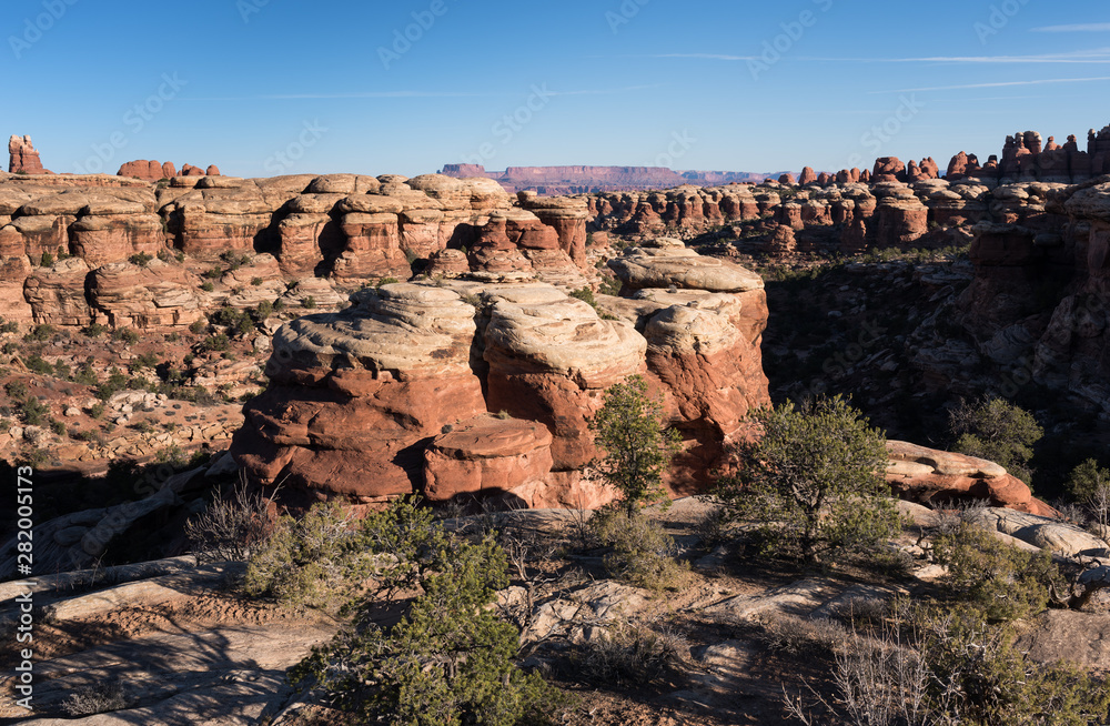 Viewpoint looking North within the Needles District - Canyonlands National Park, located in South Central Utah. Viewpoint looking North within the Needles District - Canyonlands National Park, located in South Central Utah.
