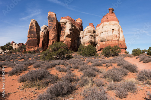 Unusual rock formations are in Chesler Park  part of the Needles District of Canyonlands National Park  Utah.