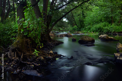 river in forest